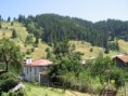/album/priroda/strasburg-113-jpg/